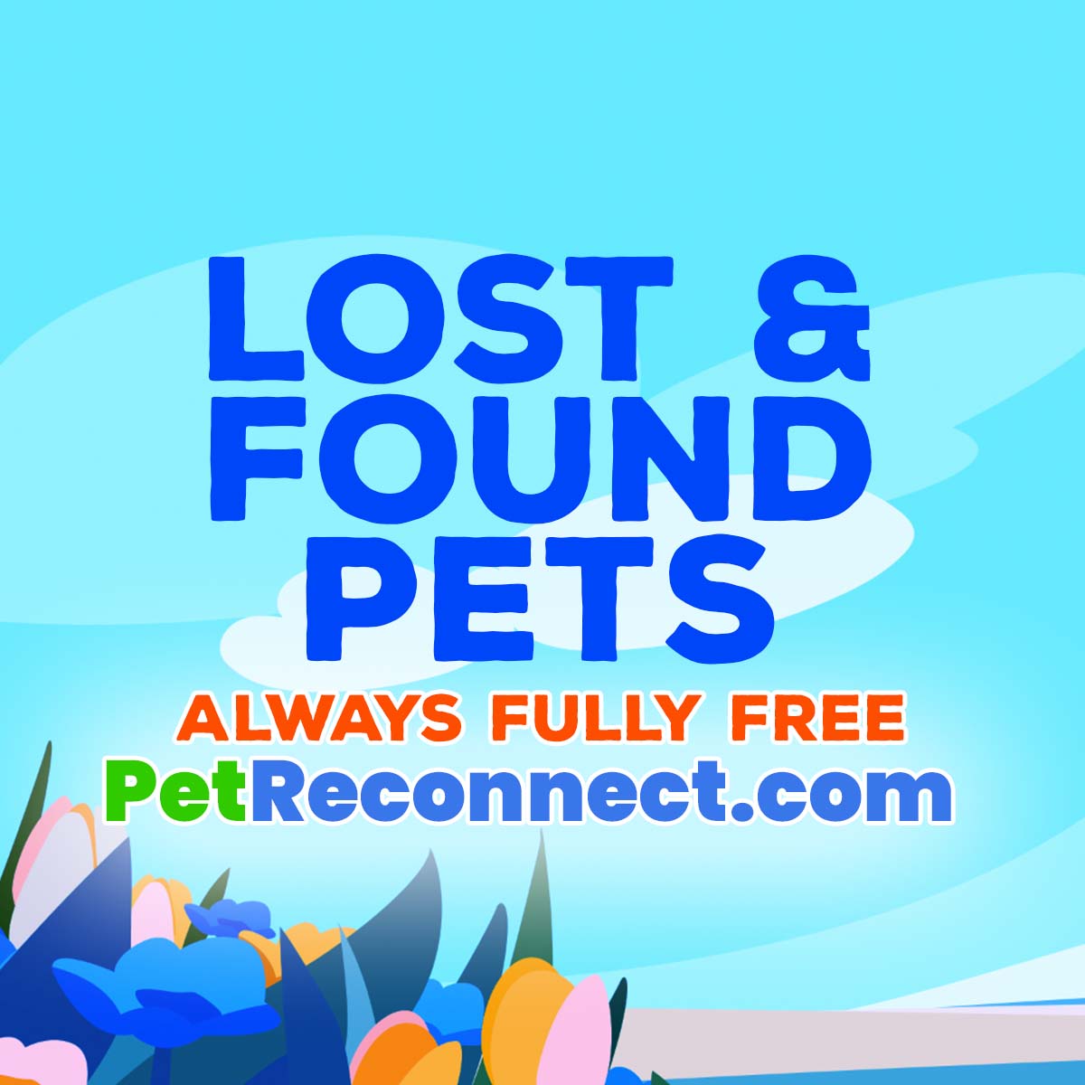 Lost Found Pets In The US PetReconnect