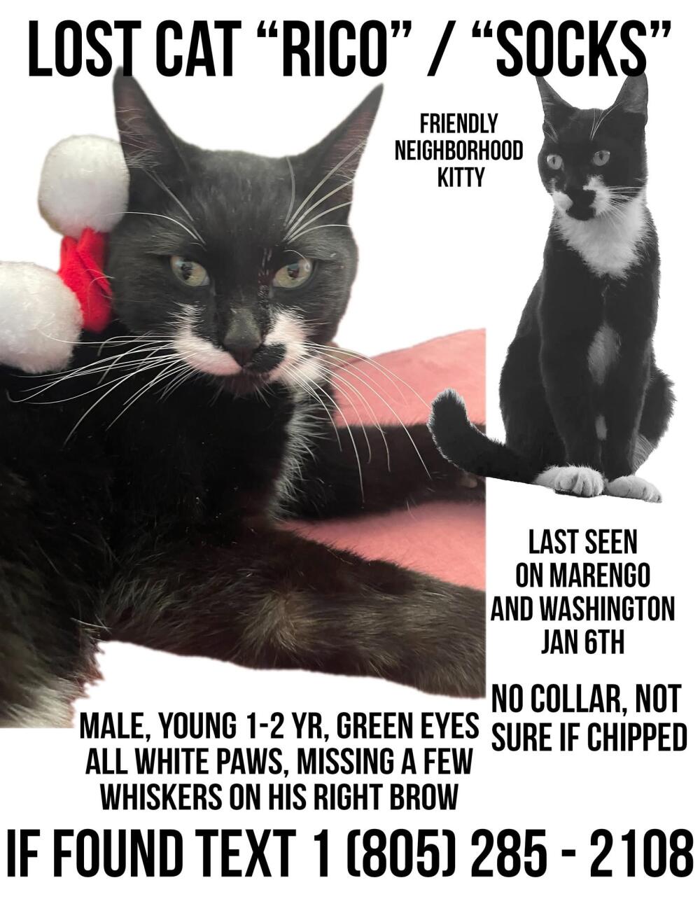 Black and white male