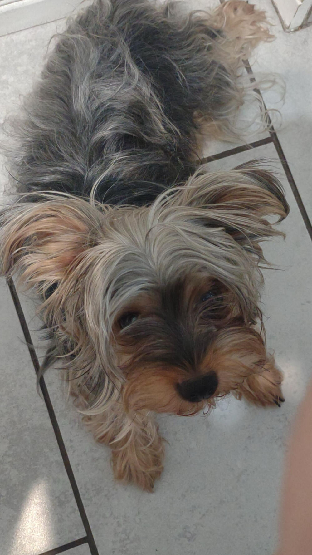 Penny is still missing